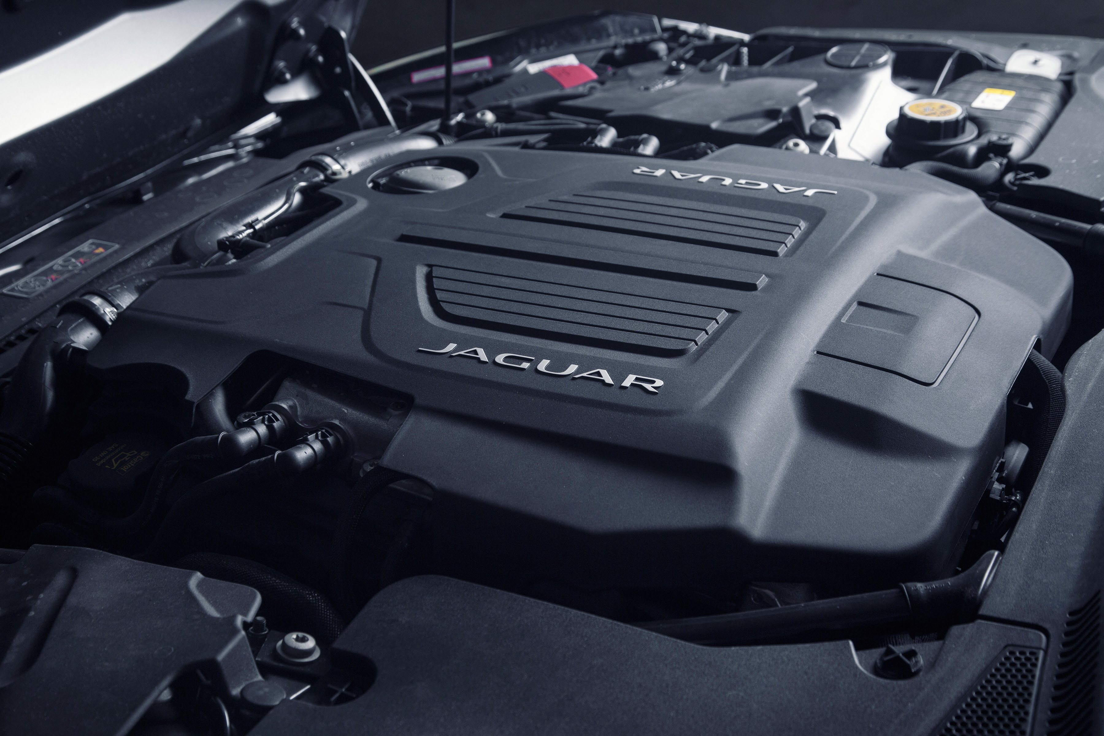 Aro2353