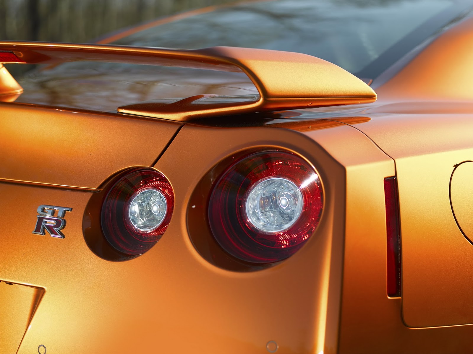 2017 Nissan Gt R Fl 17