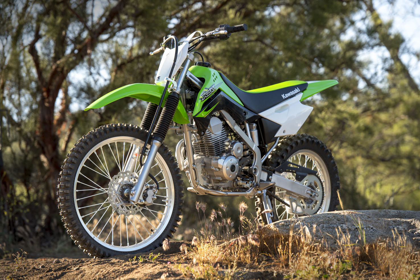 Kawasaki 2017