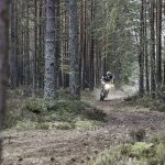 Husqvarna 701 Enduro