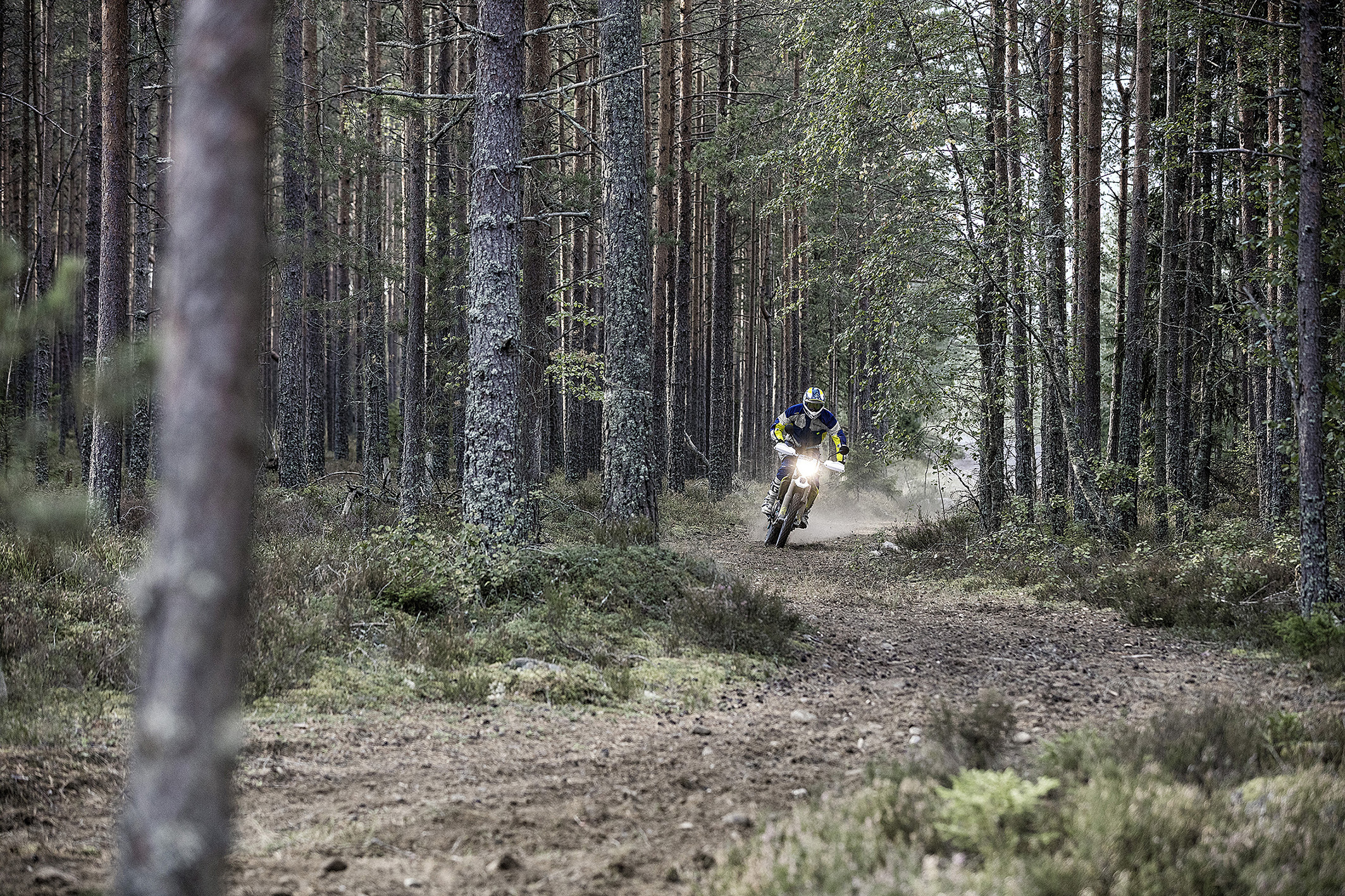 Husqvarna 701 Enduro