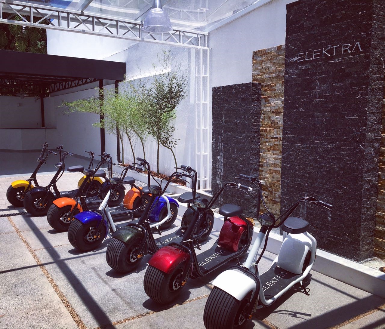 elektra1.jpg
