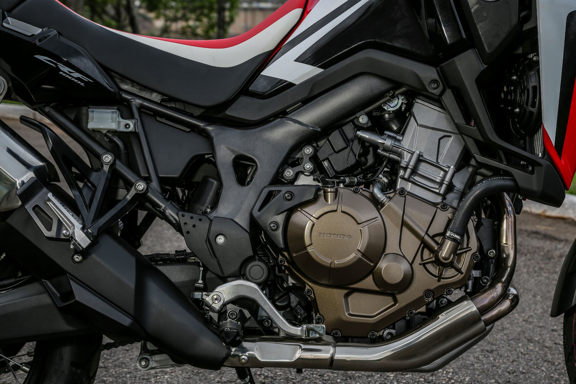 hondaafricatwin_20167.jpg