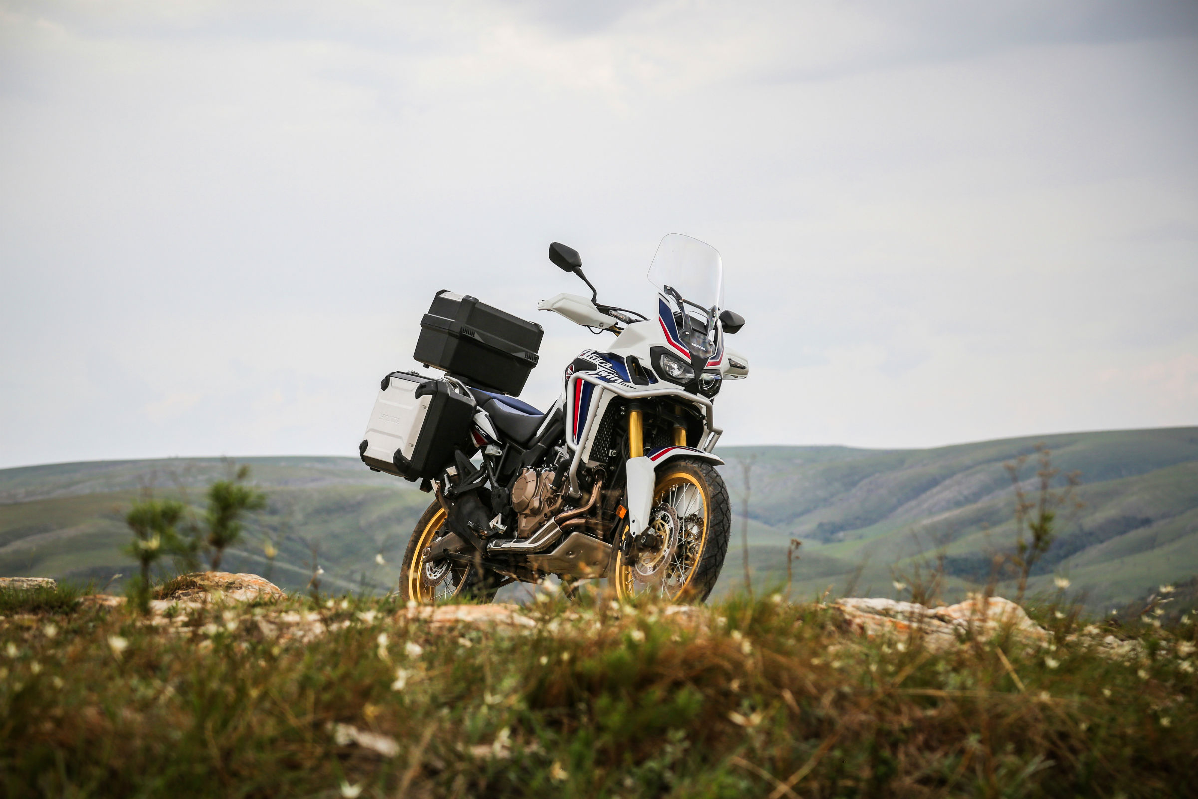 hondaafricatwin_20164.jpg