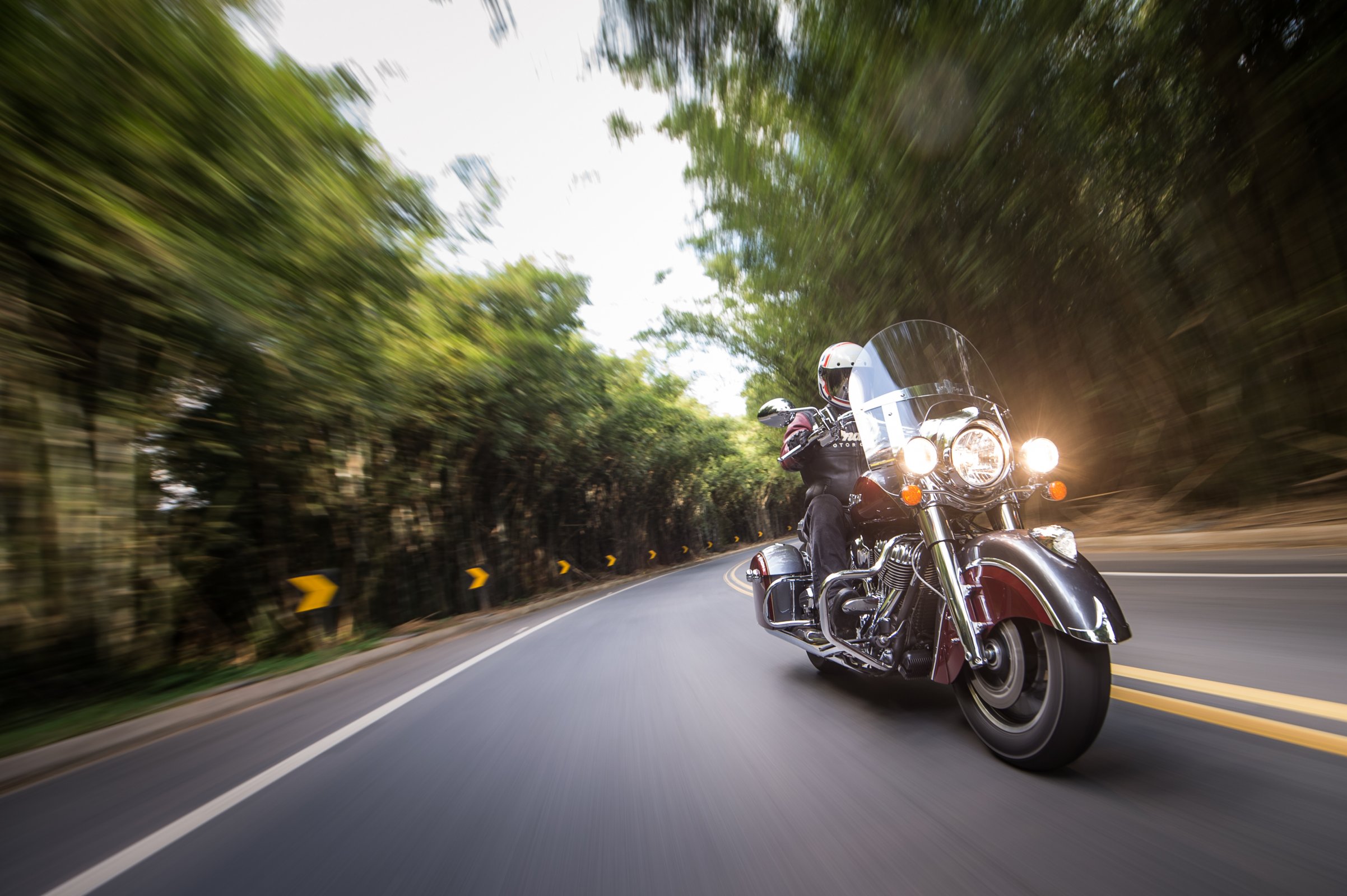 indian_chief_springfield_5.jpg