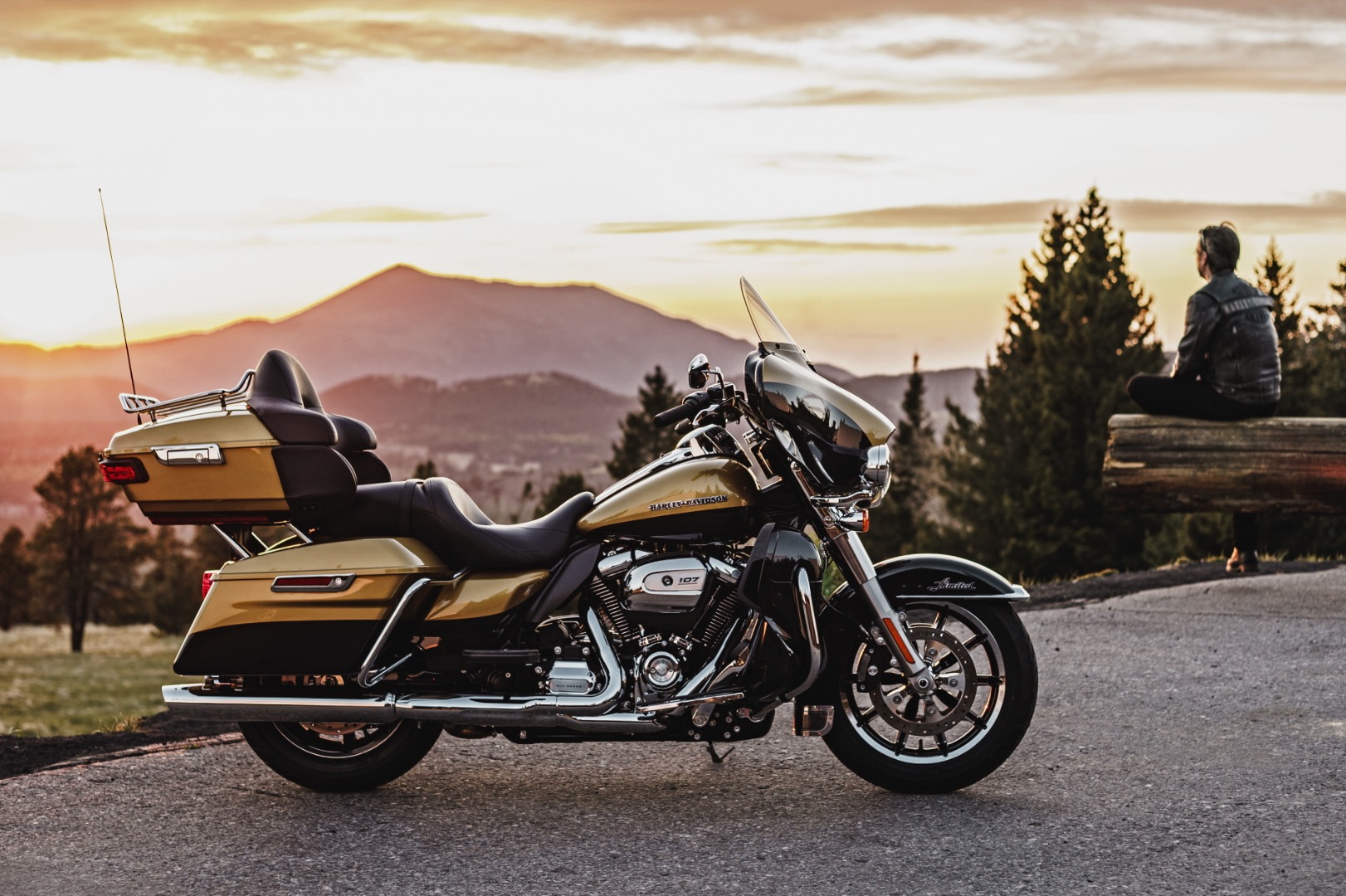 2017 harley-davidson milwaukee-eight