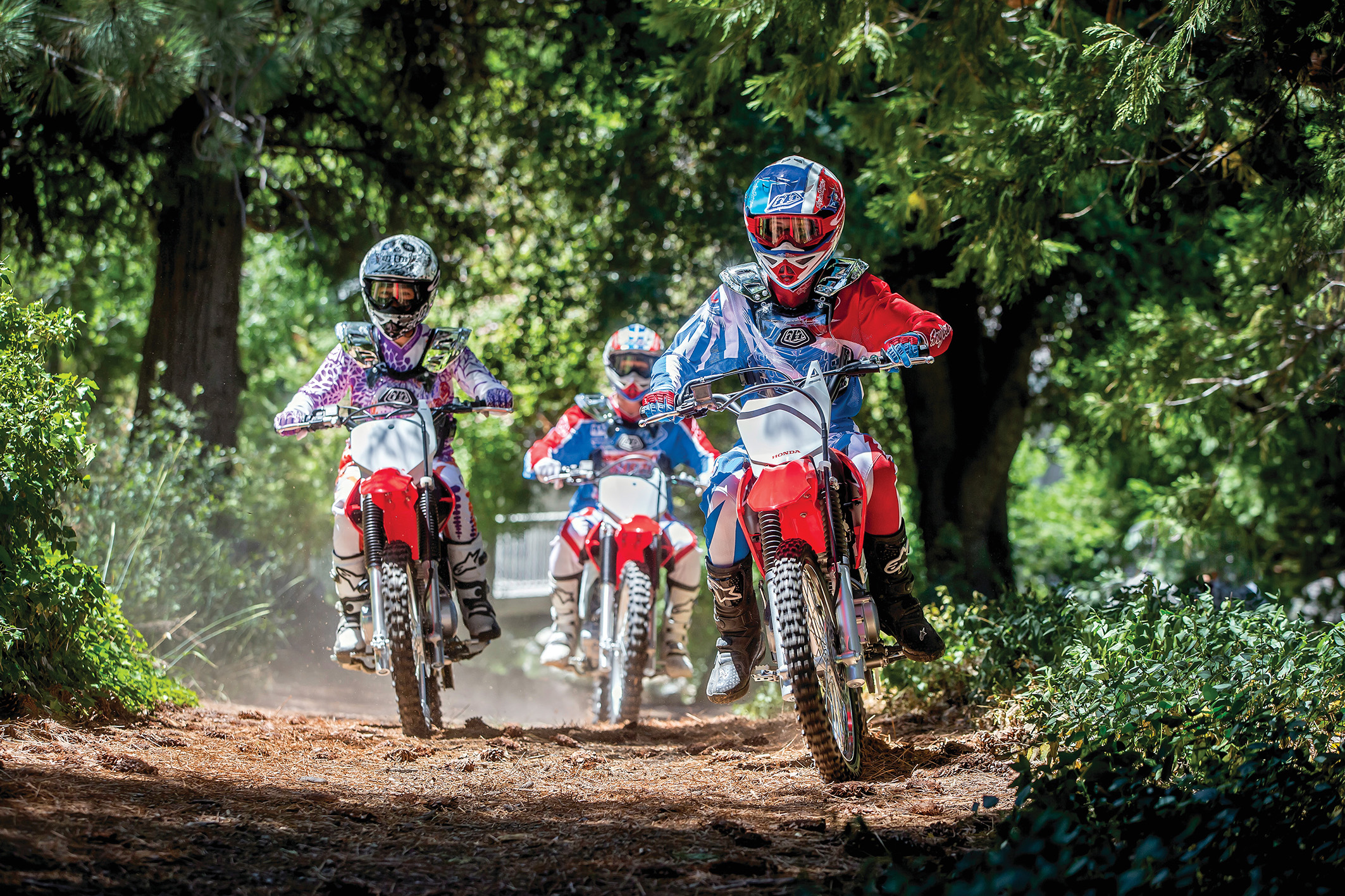 Honda CRF 2018