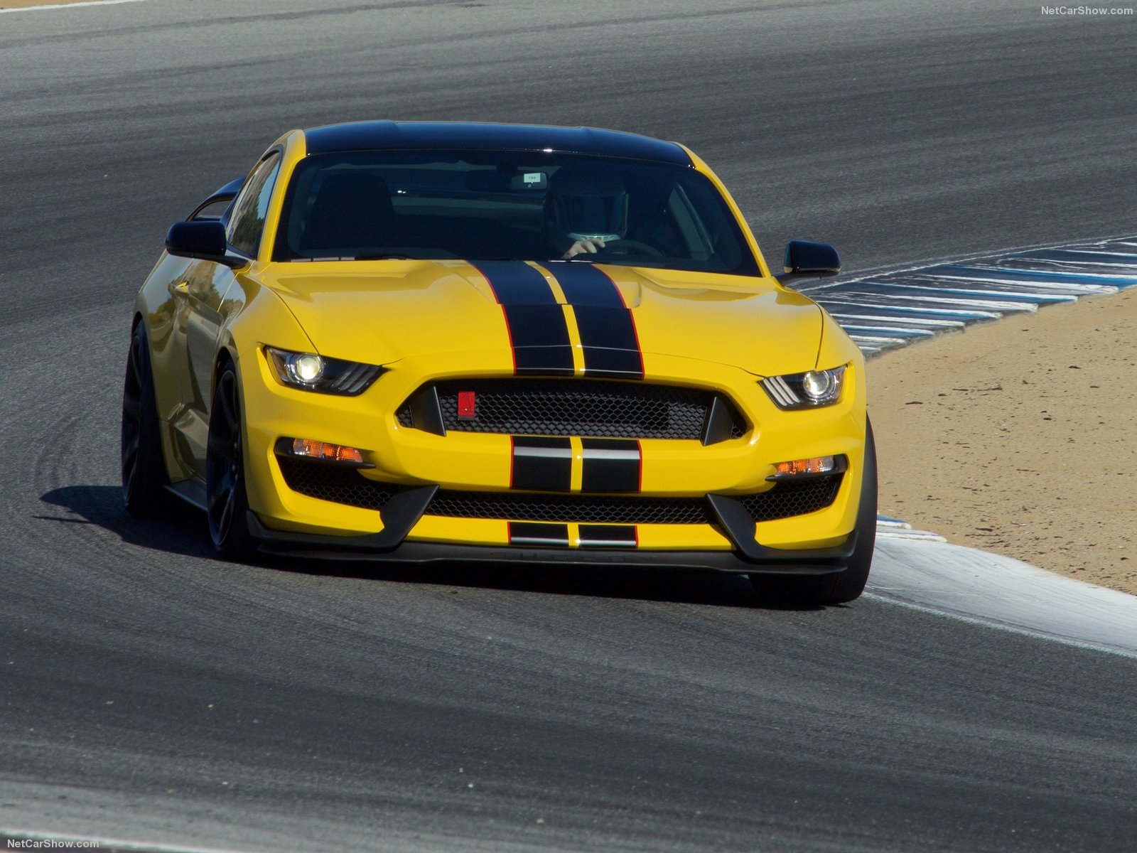 ford mustang shelby gt350r 2016
