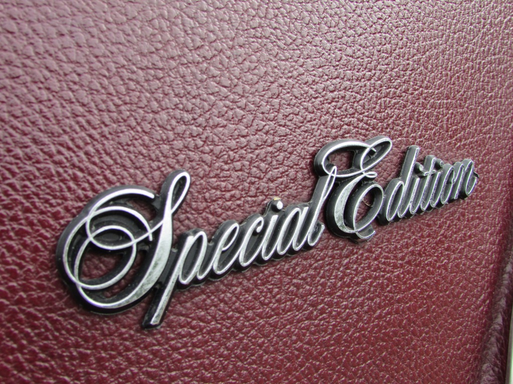 Dodge Dart 1975 Super Special