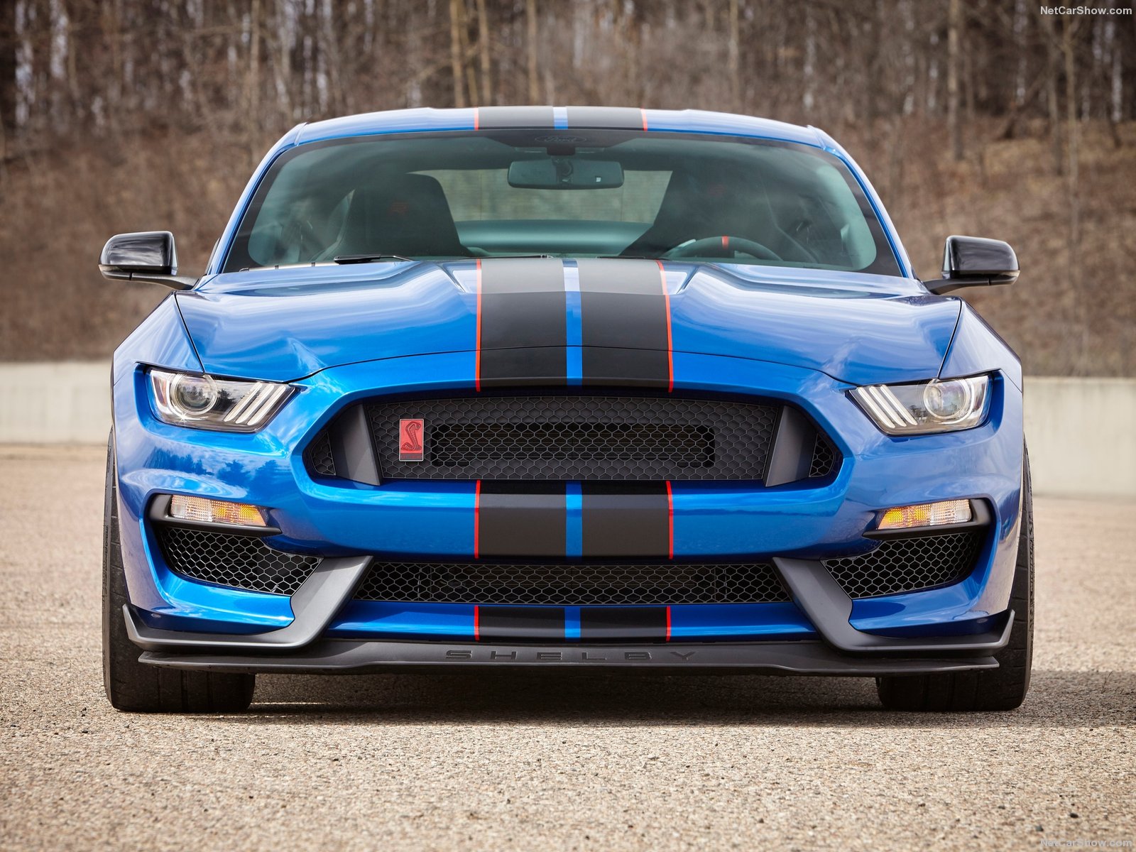 Ford Mustang Shelby GT350 2017