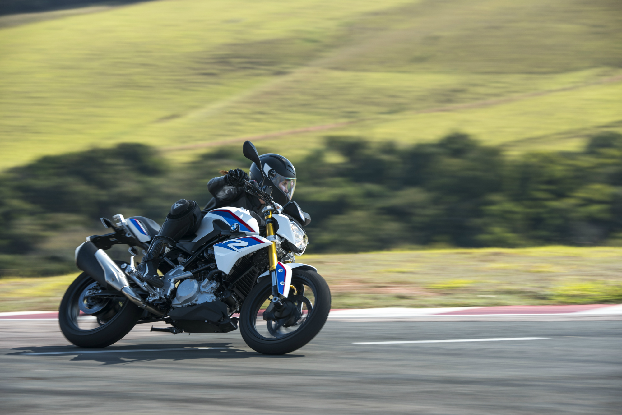 BMW G 310 R