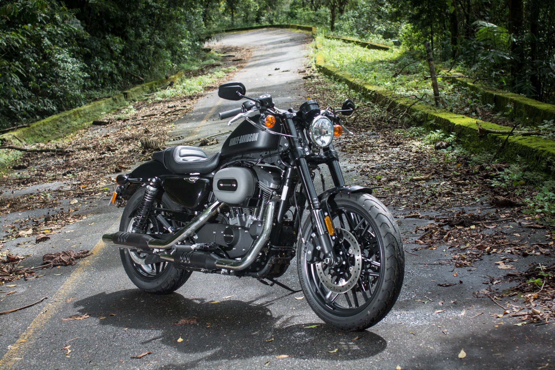 Harley-Davidson Roadster 1200