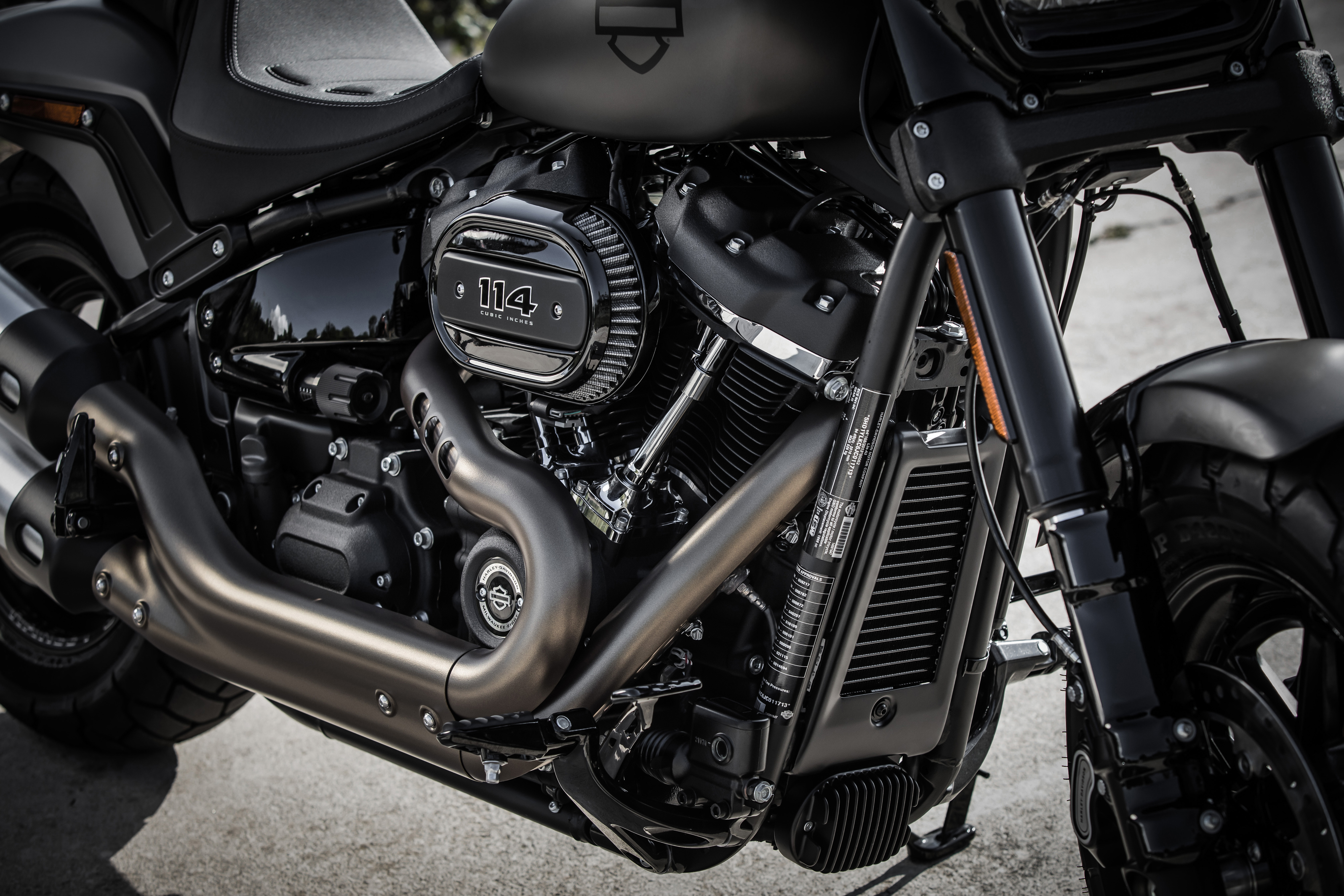 fatbob_dtl_029.jpg