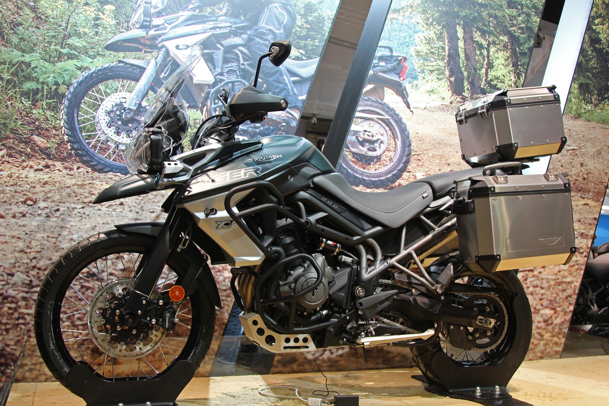 Tiger 800 XCa