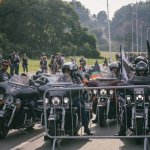 Especial Hog 2018
