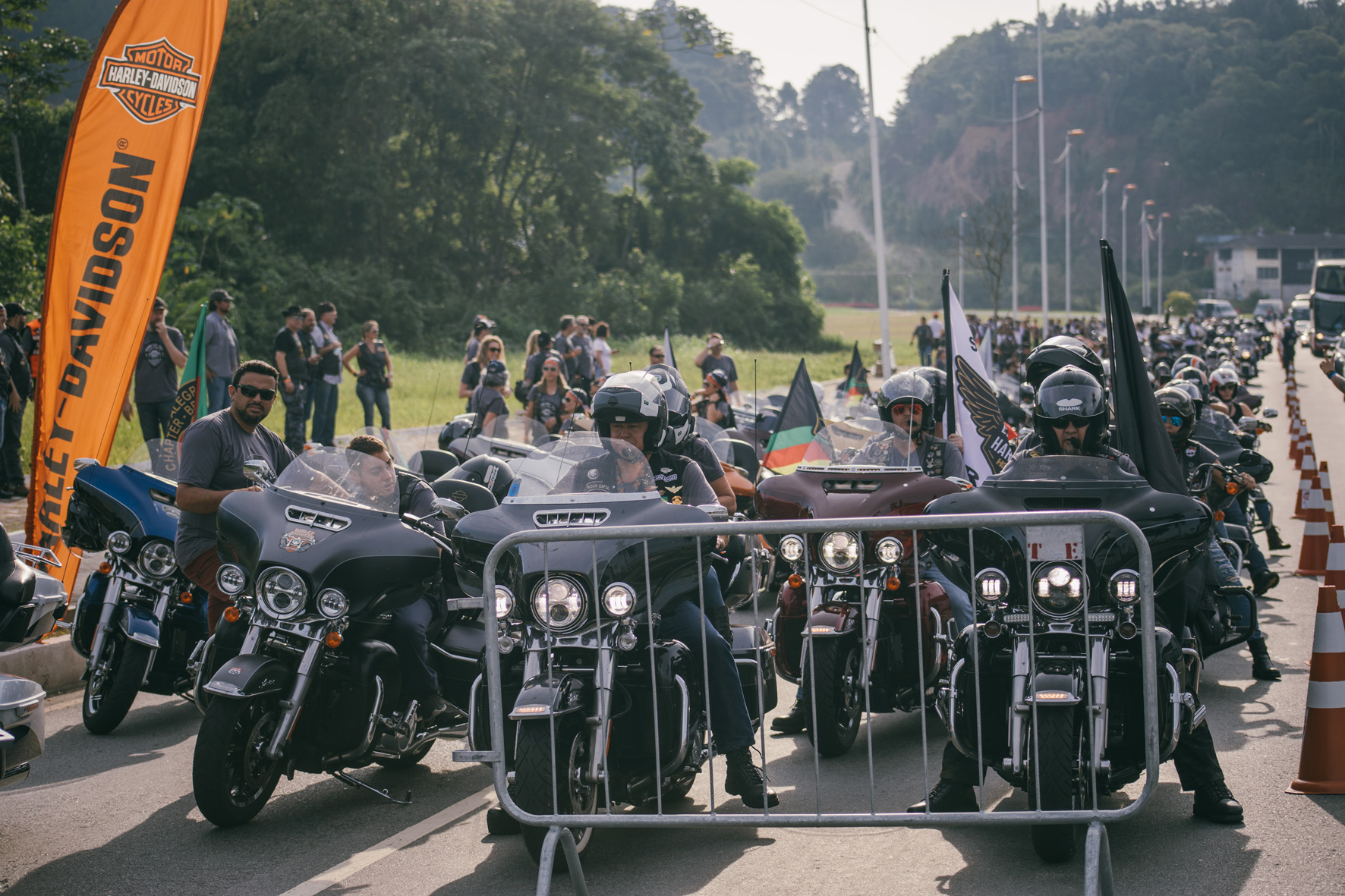 Especial Hog 2018