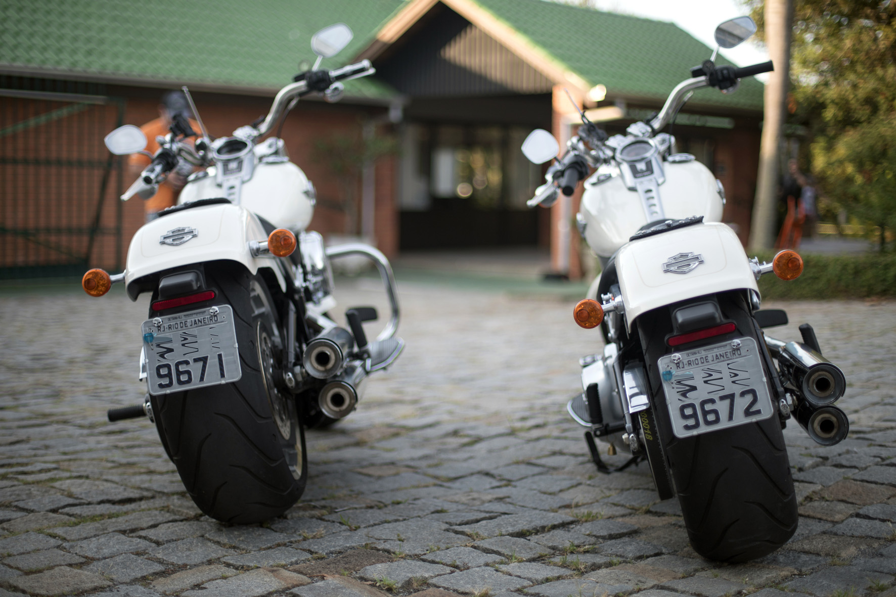 Especial Hog 2018