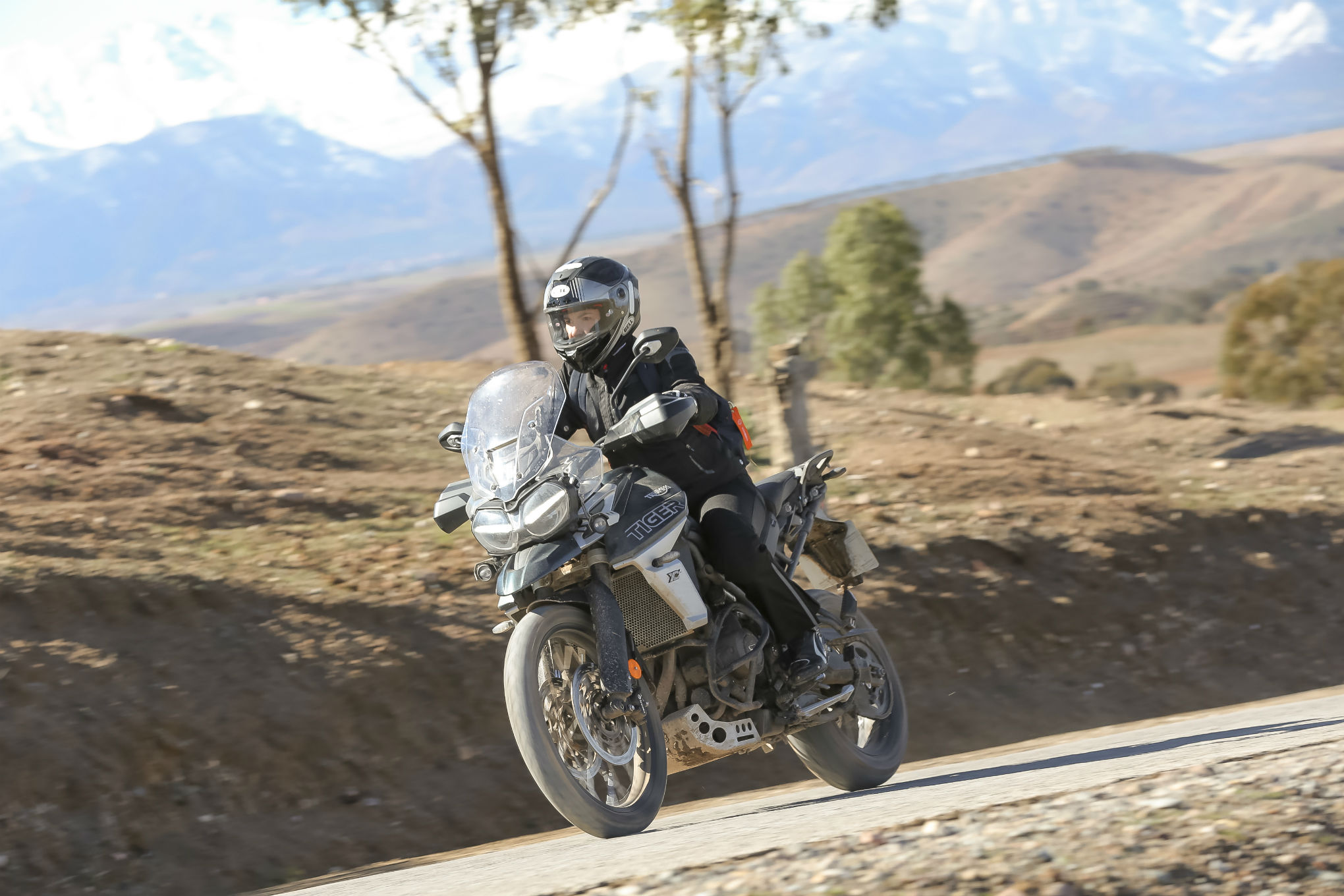 Nova Triumph Tiger 800