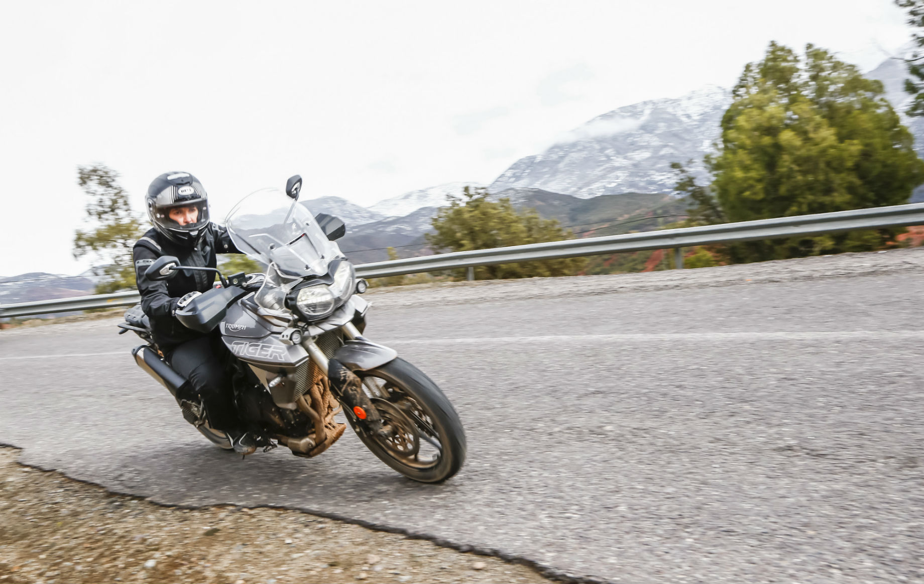 Nova Triumph Tiger 800