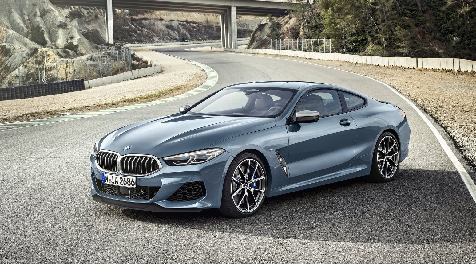 Bmw 8 Series Coupe 2019