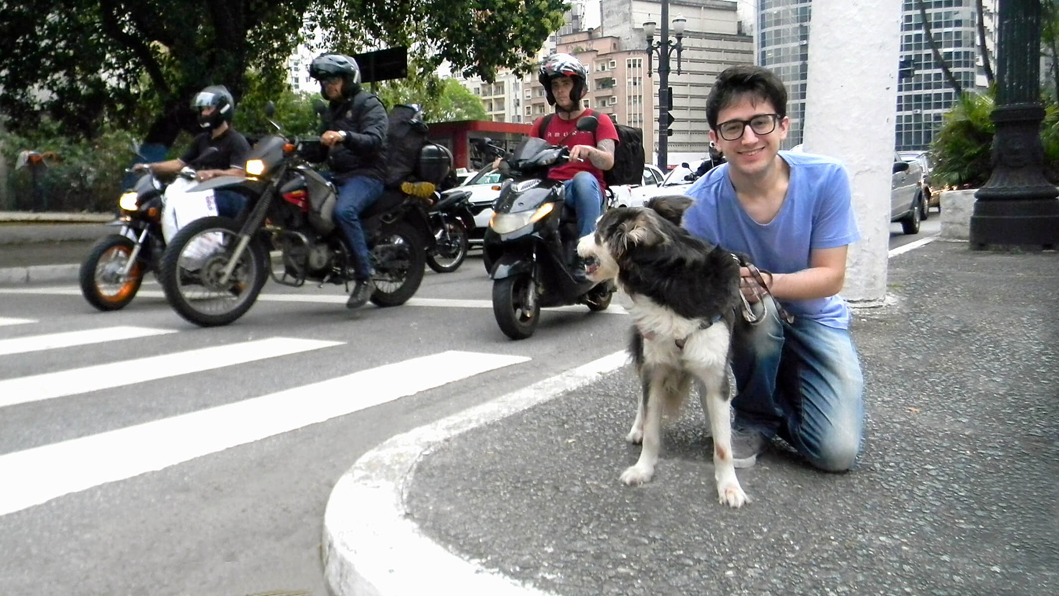 Cachorro Motos