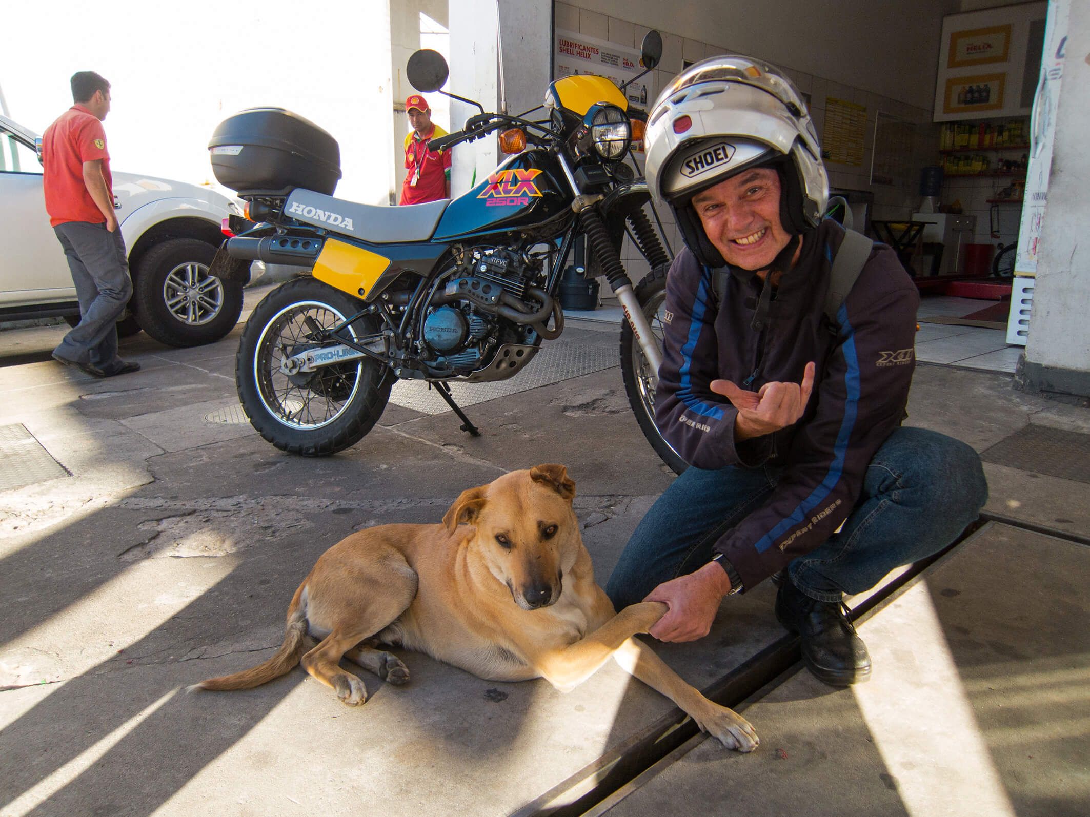 Cachorro Motos