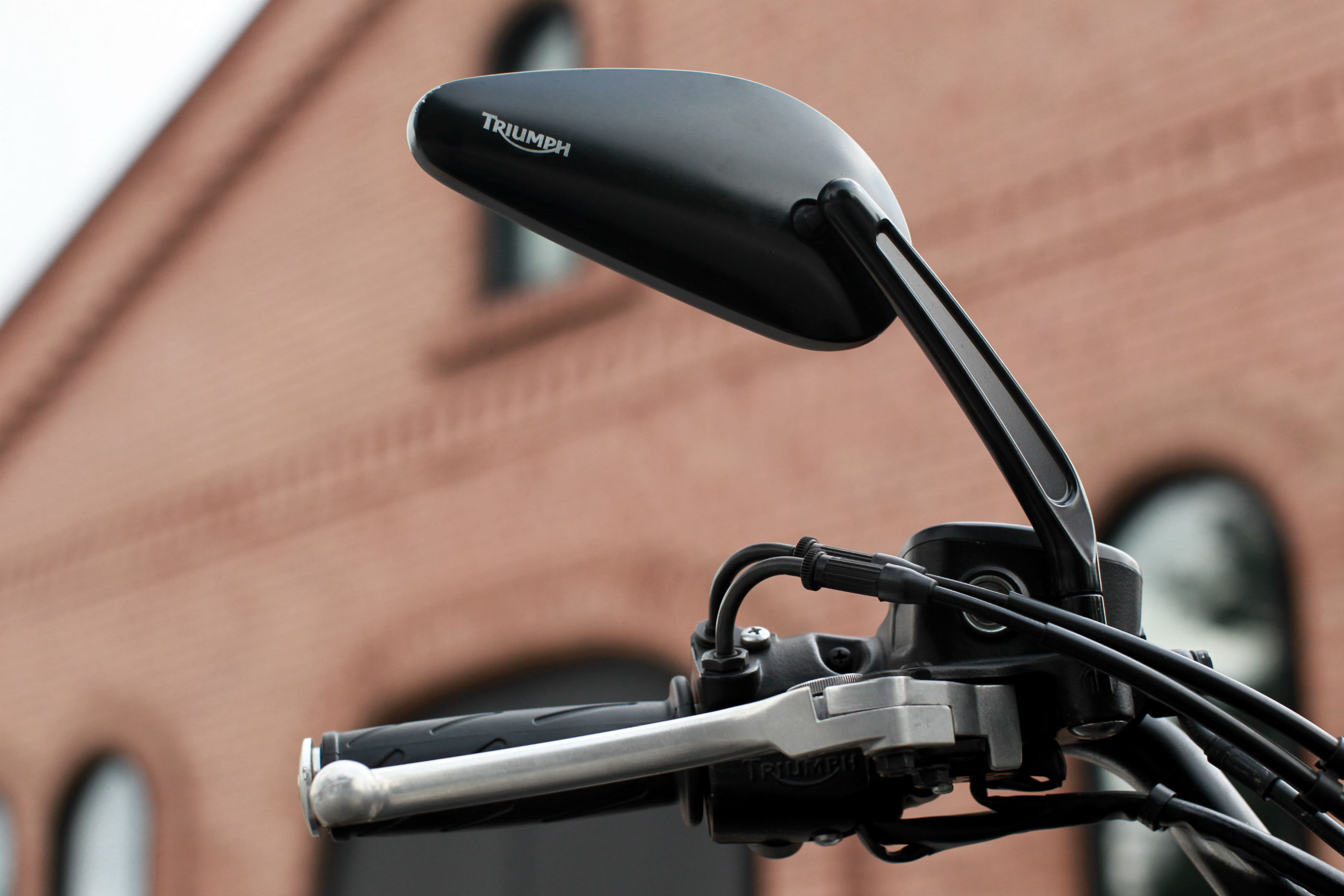 Triumph Bonneville Black Jungle