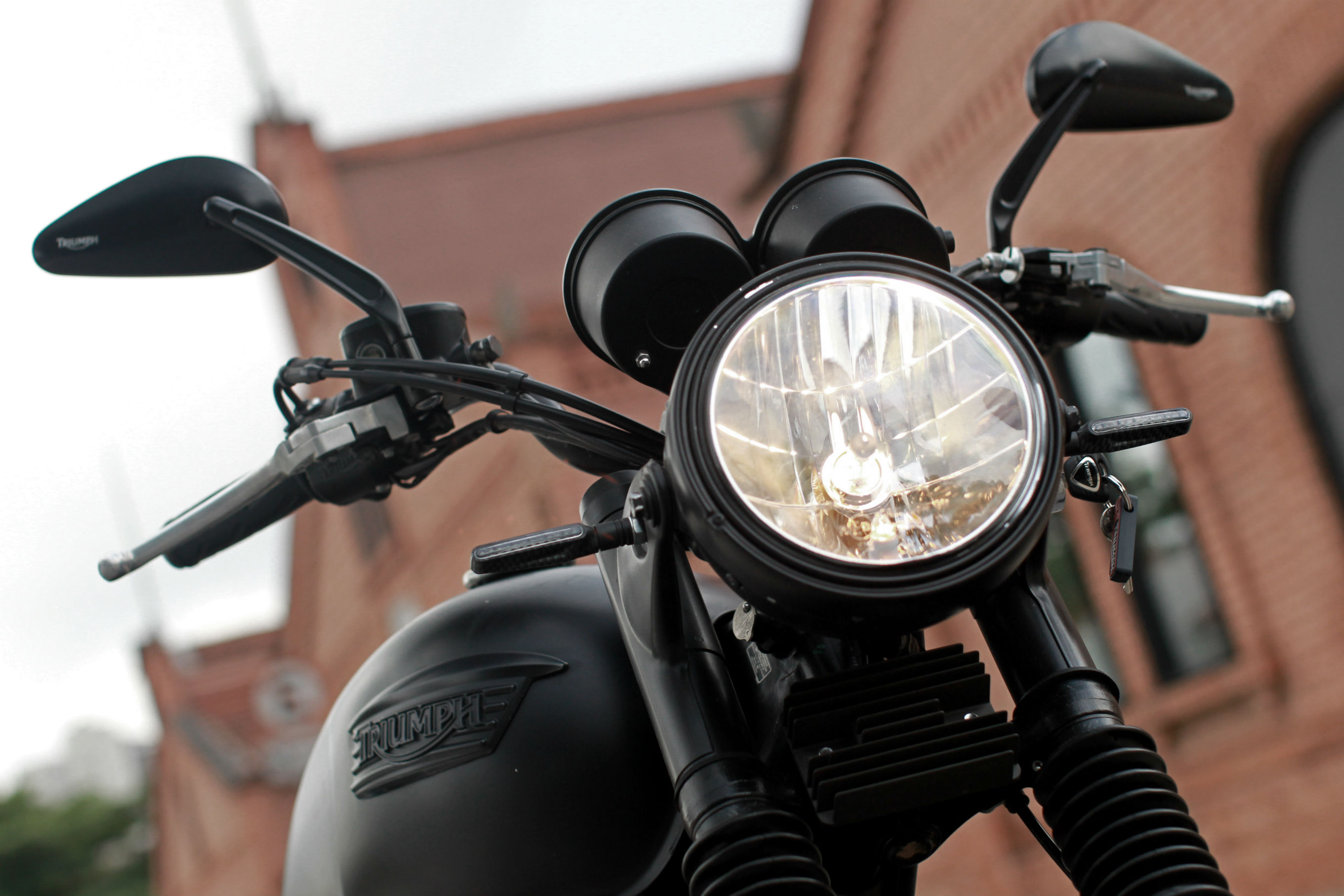 Triumph Bonneville Black Jungle