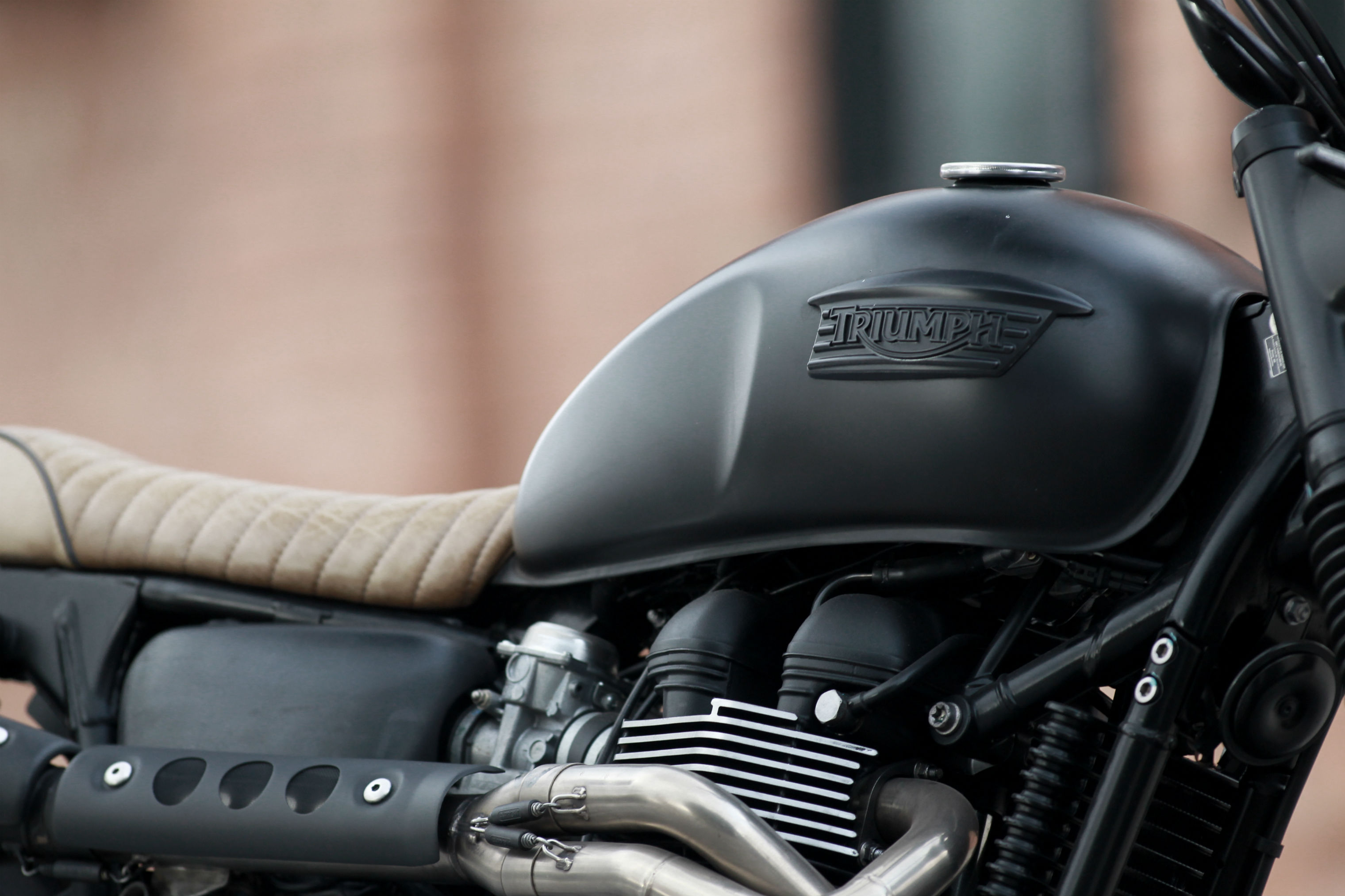 Triumph Bonneville Black Jungle