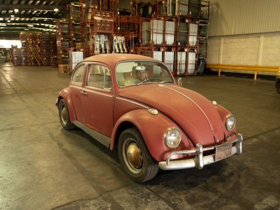 Kathleen Brooks 1967 Annie Beetle Restoration Small 9180 560x420