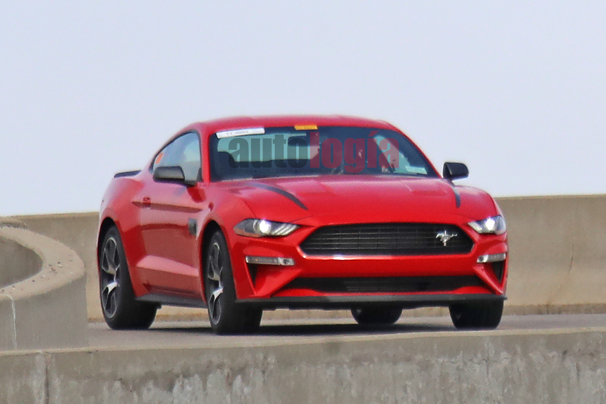 Mustang Special 002