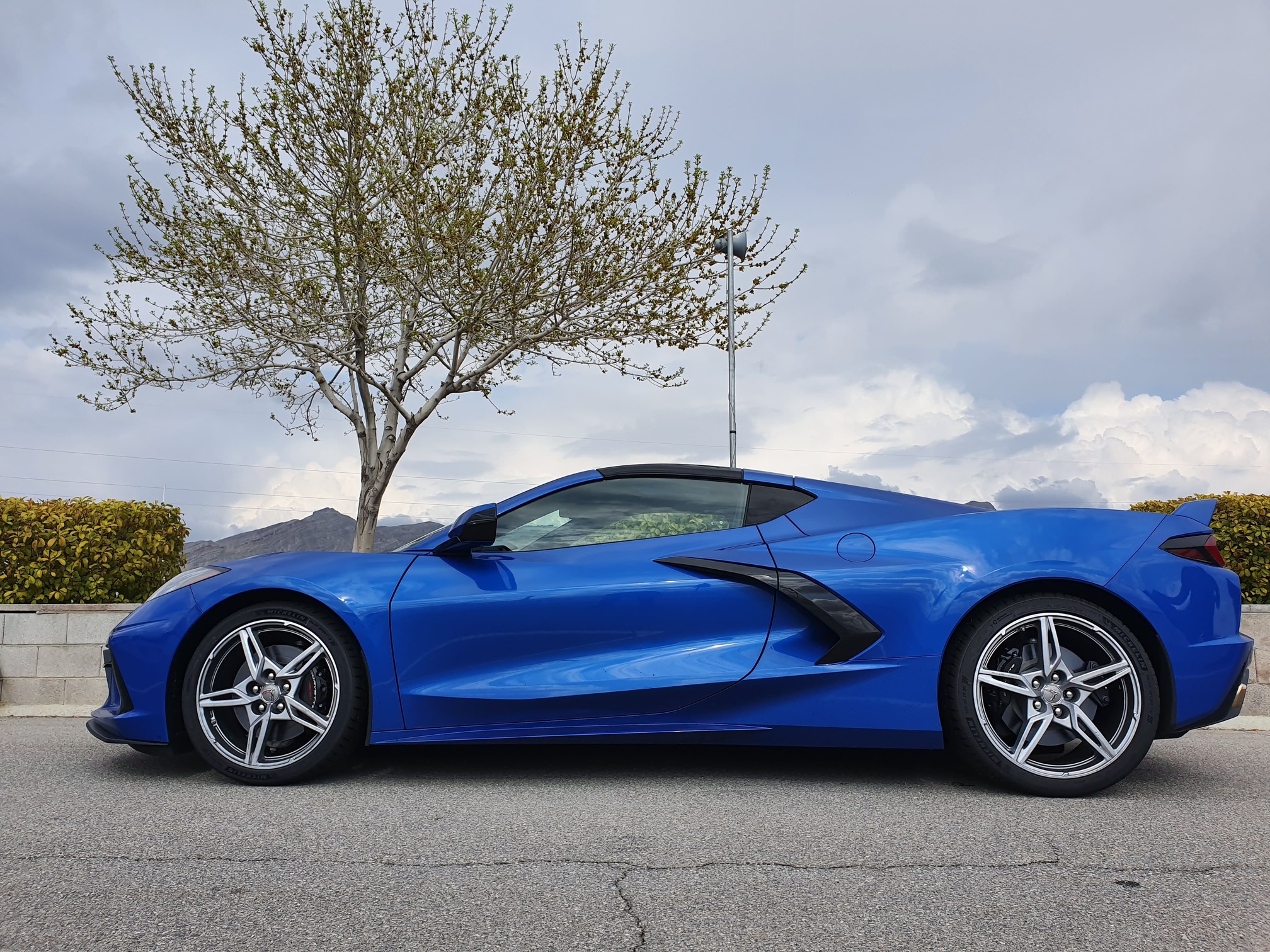 Chevrolet Corvette azul de perfil na estrada com árvore seca ao fundo