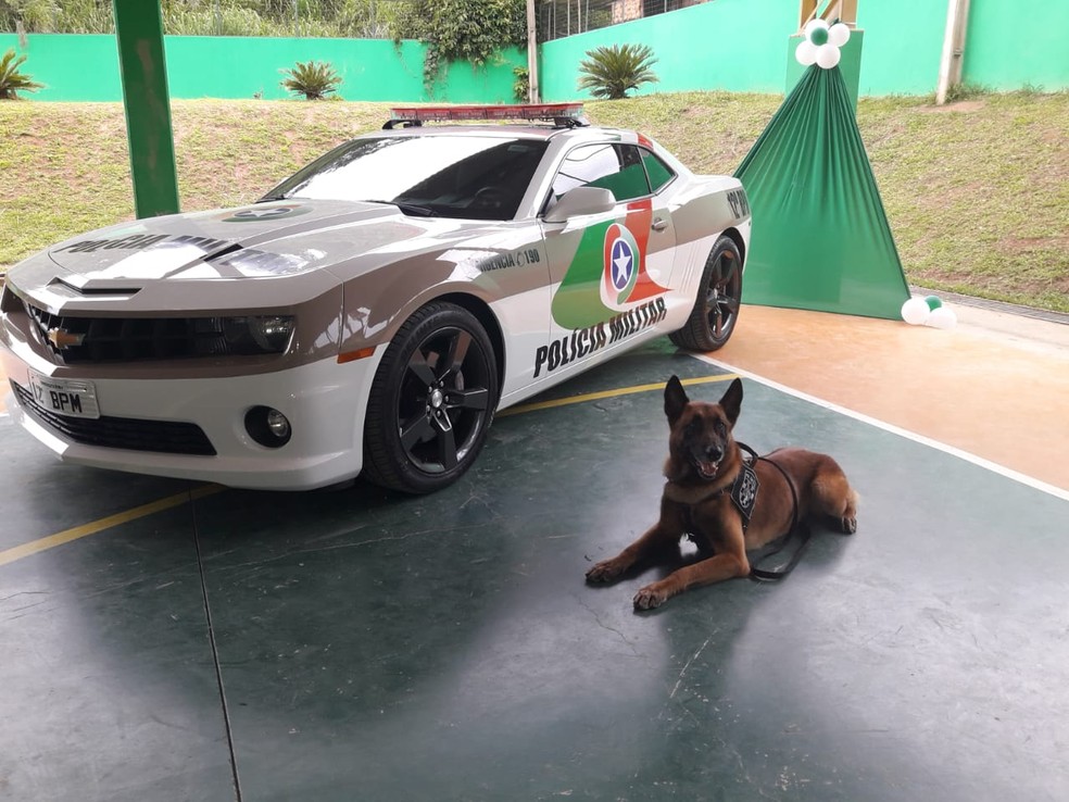 Camaro Pm De Sc