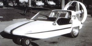 FEI X 1