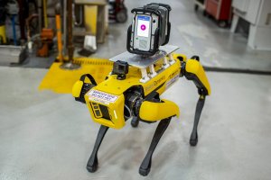 Cães robôs em fábrica da Ford
