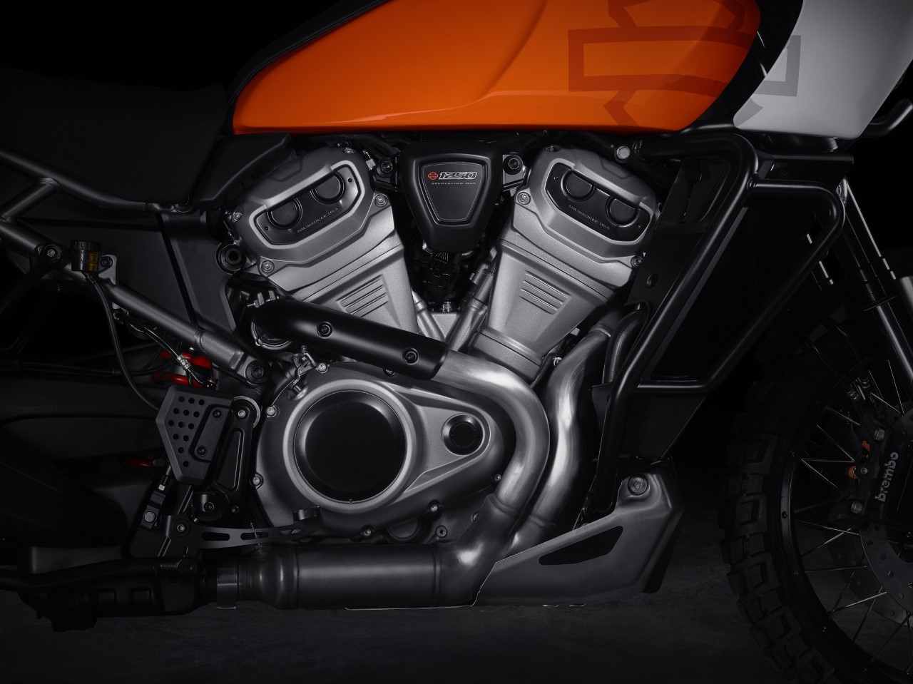 Thumbnail 3. Harley Pan America