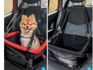 transporte-cachorro