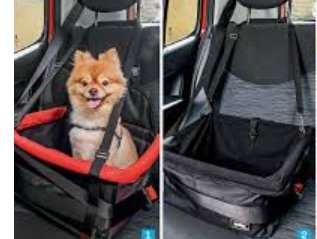 transporte-cachorro