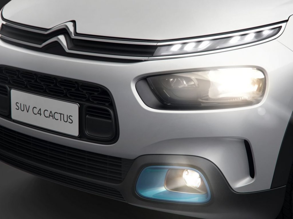 C4 Cactus Rip Curl