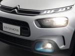 C4 Cactus Rip Curl