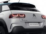 C4 Cactus Rip Curl