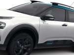 C4 Cactus Rip Curl