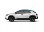 C4 Cactus Rip Curl