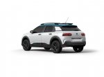 C4 Cactus Rip Curl
