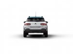 C4 Cactus Rip Curl