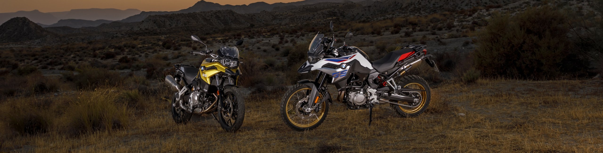 Bmw F 750 Gs, Bmw F 850 Gs