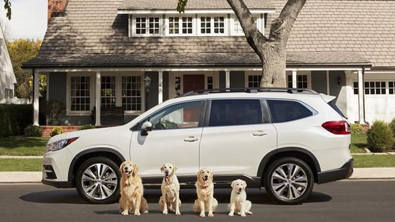 Subaru agora oferece uma linha de acessórios para pets