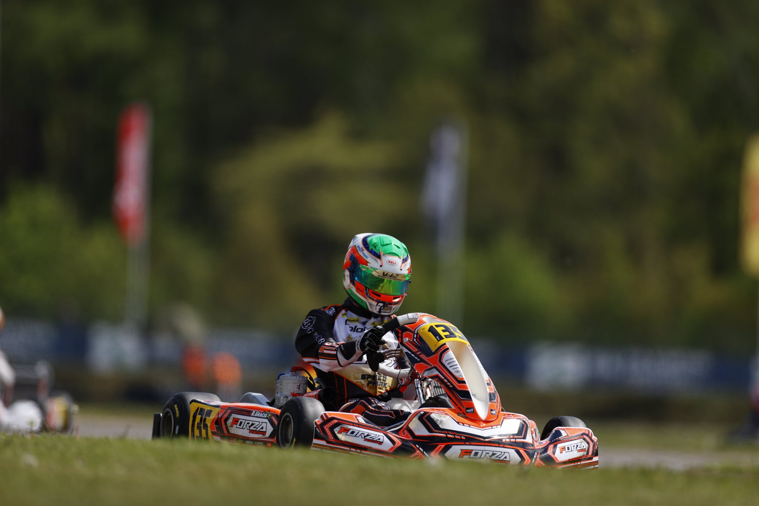 Ricardo Gracia