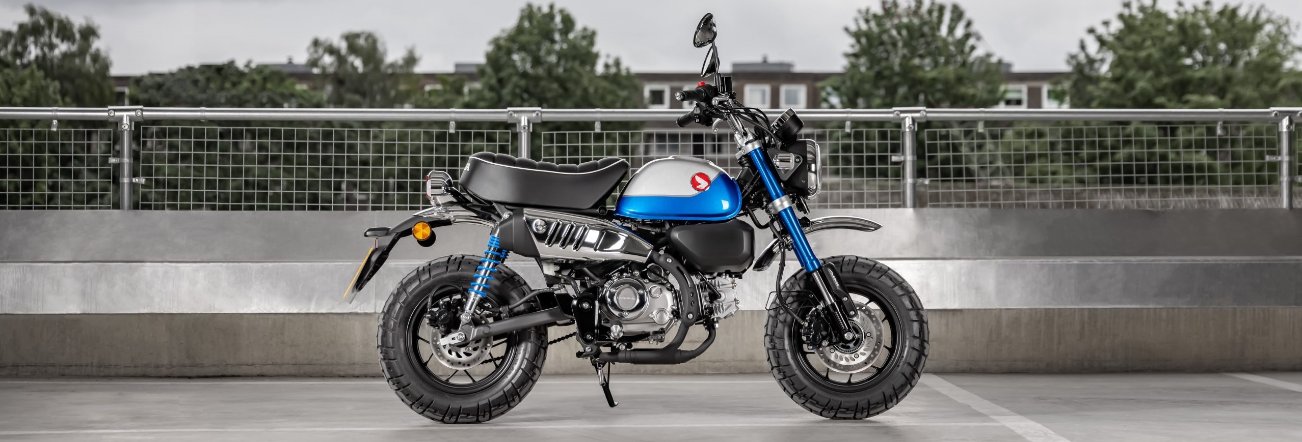 Honda Monkey 125 (1)