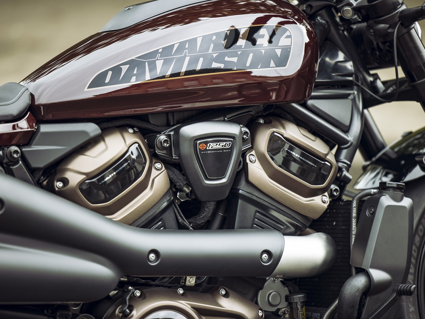 2021 Sportster S Scotland Photo Shoot